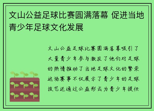 文山公益足球比赛圆满落幕 促进当地青少年足球文化发展
