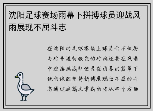 沈阳足球赛场雨幕下拼搏球员迎战风雨展现不屈斗志