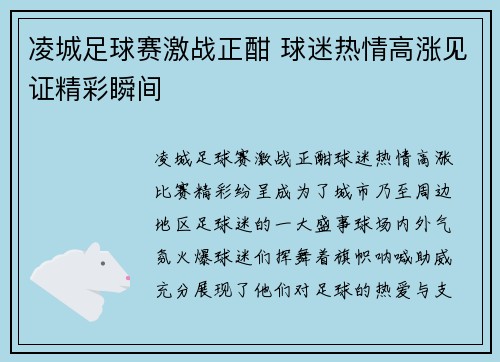 凌城足球赛激战正酣 球迷热情高涨见证精彩瞬间