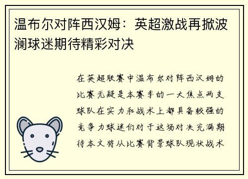 温布尔对阵西汉姆：英超激战再掀波澜球迷期待精彩对决