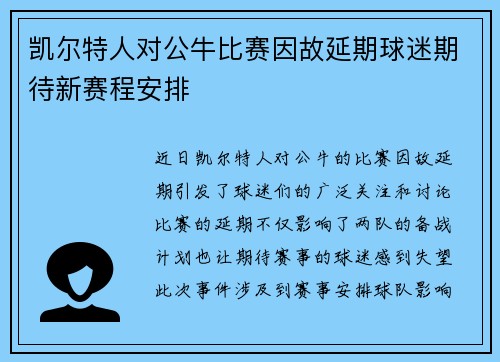 凯尔特人对公牛比赛因故延期球迷期待新赛程安排