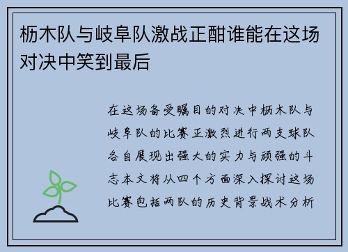 枥木队与岐阜队激战正酣谁能在这场对决中笑到最后