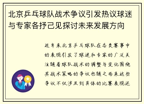 北京乒乓球队战术争议引发热议球迷与专家各抒己见探讨未来发展方向